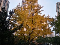 -苏州河梦清园环保主题公园