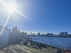 -台场海滨公园船码头