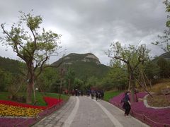-佛慧山