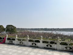 -上海海湾国家森林公园