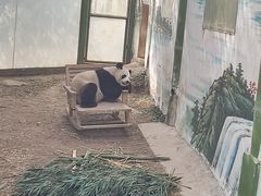 -栾川竹海野生动物园