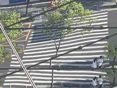-深圳市当代艺术与城市规划馆