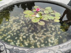 -南阳卧龙岗武侯祠
