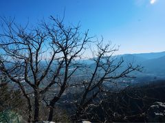 -北京鹫峰国家森林公园