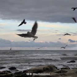 -HEYAN荷妍专业脱毛连锁机构