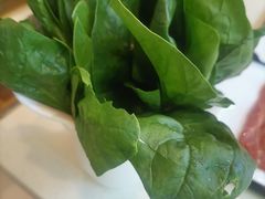 -圆山胜利碳火铜锅涮肉(马甸桥店)