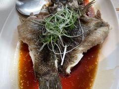 笋壳鱼-逸道(益丰·外滩源店)