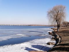 -丁香湖公园