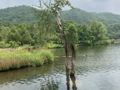 -玉渡山自然风景区