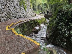 -莫干山风景区