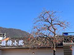 -塔川景区