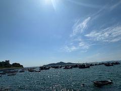 -海源公园