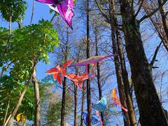 -人民公园(罗湖区)