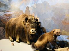 -陕西自然博物馆