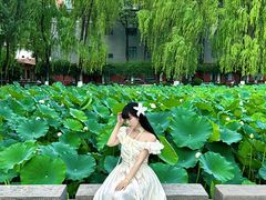 -四川大学(望江校区)