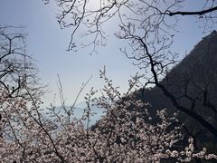 -北京鹫峰国家森林公园