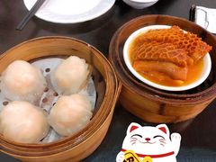 萝卜金钱肚-添运来(茶园奥园广场店)