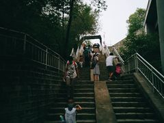 -白水寺森林公园