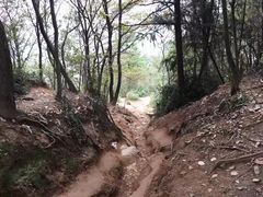 -灵岩山风景区