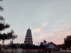 -大雁塔北广场音乐喷泉