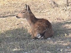 -上海交通大学(闵行校区)
