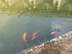 -明月山天沐温泉度假村