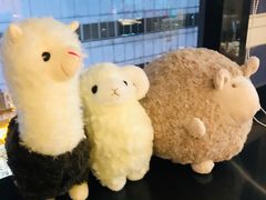 -九府羊·鲜羊火锅·烤串(新华路店)