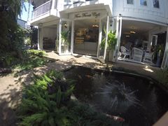 -Fern Forest Cafe