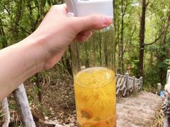 -滴水岩森林公园