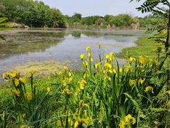 -白鹭湾湿地公园