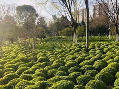 -杭州城北体育公园