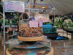 景观位-荔城生鲜盛宴(番禺旗舰店)