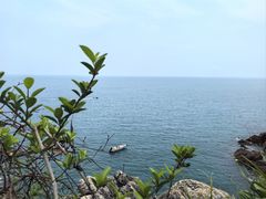 -广东惠东海龟国家级自然保护区