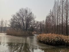 -洛阳市隋唐城遗址植物园
