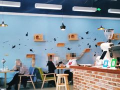 -猫咪咖啡·猫咖(万达广场店)