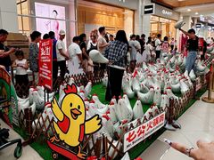 -杉杉奥特莱斯广场(哈尔滨店)