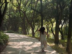 -燕晗山郊野公园