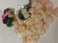 清炒河虾仁-上海老站(徐家汇店)