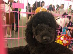 -北京华联购物中心(同成街店)