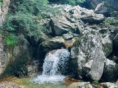 -牛背梁国家森林公园