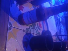 -酒肆浅葱•烧烤•龙虾•排档(卓悦intown店)