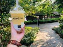 -MAMACHA妈妈茶(岳麓山店)