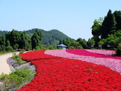 -中国香山·寿香谷