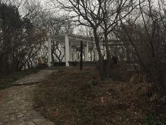 -镇江市南山风景名胜区竹林景区