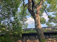 -西园戒幢律寺