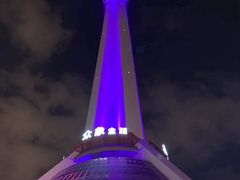 -339旋转餐厅(天府熊猫塔店)