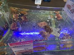 -盒马鲜生(悠方店)