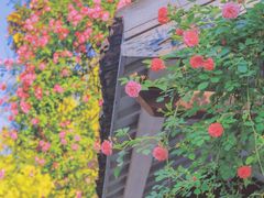 -颐和路民国时期公馆风貌区