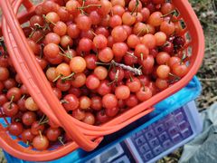 -珠源印象·影院足道·按摩SPA