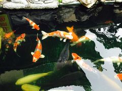 -天竺岩寺